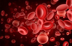 Platelet Rich Plama (PRP)